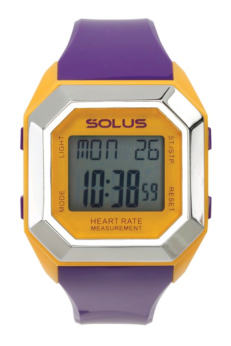 01-840-005 Solus Leisure, Pulsur