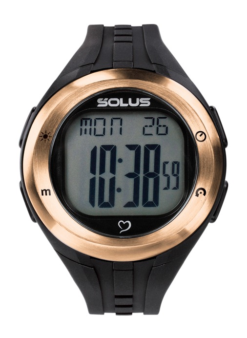 01-900-002 Solus Leisure, Pulsur