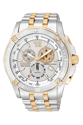 Citizen BL5376-55A herreur