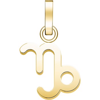 Rosefield Stjernetegn Capricorn PE-Guld-Capricorn-S
