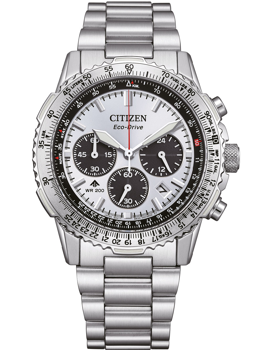 Model CA4660-61A, autoriseret forhandler Ur-tid